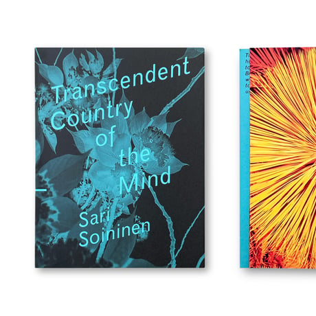 Sari Soininen / Transcendent country of the mind