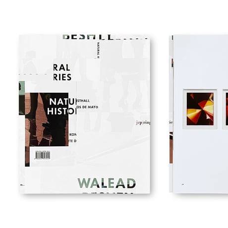 Walead Beshty / Natural Histories