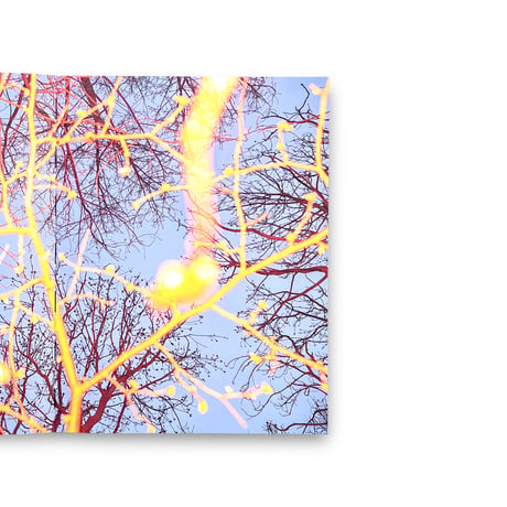 Sari Soininen / Transcendent country of the mind