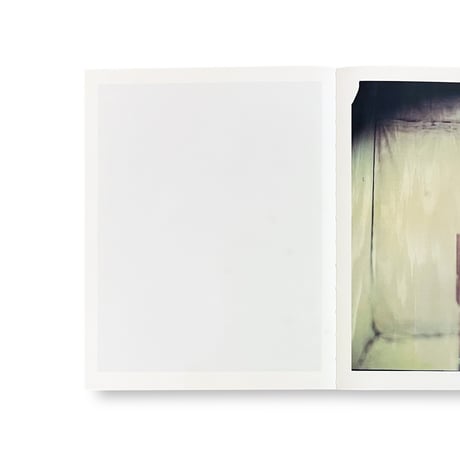 Paolo Roversi / Des oiseaux