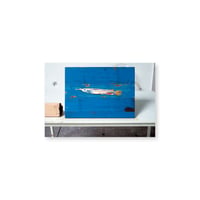 Kei Imazu / 【B-1】Lost Fish Postcard