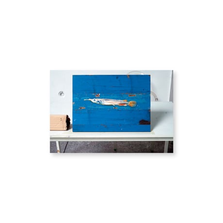 Kei Imazu / 【B-1】Lost Fish Postcard