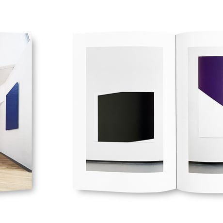 Ellsworth Kelly / Les Cahiers