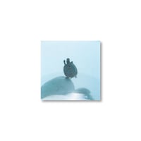 Rinko Kawauchi / 【6×6-28】Untitled from 6×6 Postcard