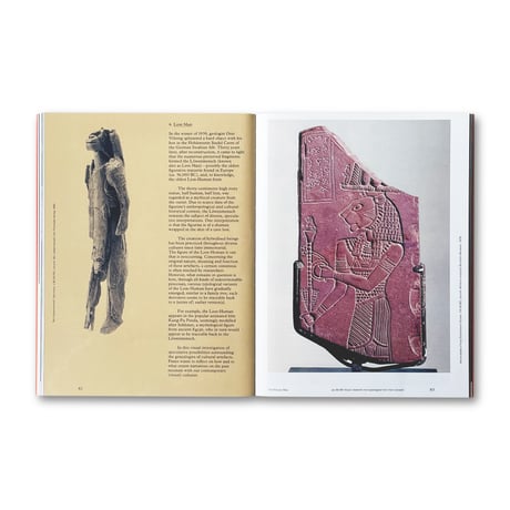 Daan Paans / Floating Signifiers