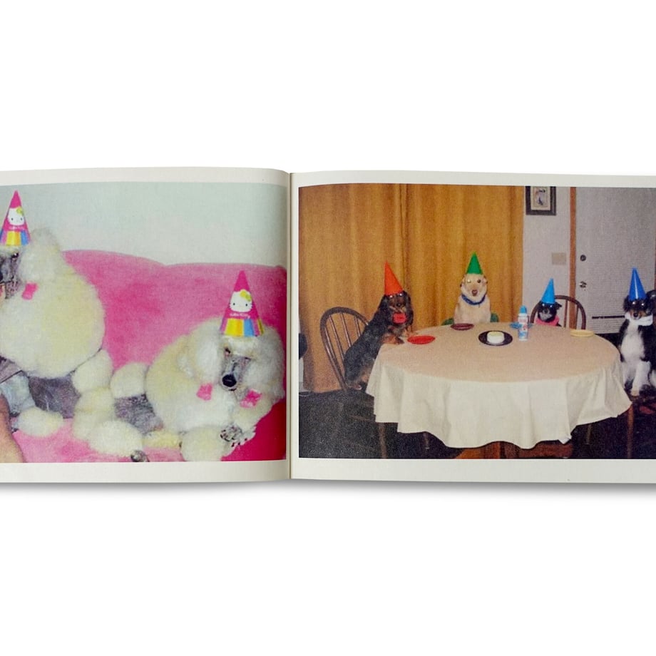 62b135c2f405a125e3b5f16c