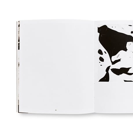 Geert Goiris / World Without Us