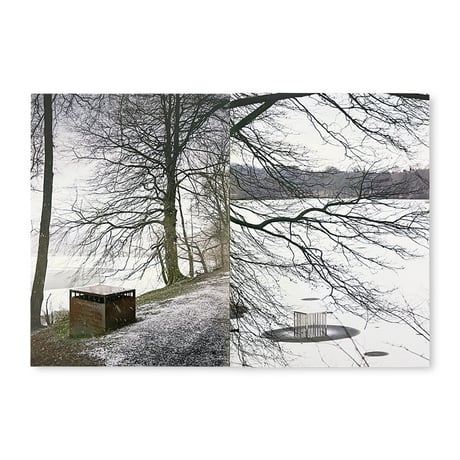 Alfredo Jaar / The Garden of Good and Evil