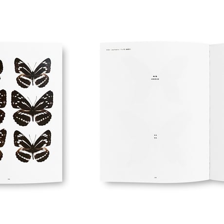 Hiromasa Iwasaki / NO-RECORD-FOUND CERTIFICATE – 759 Insects –