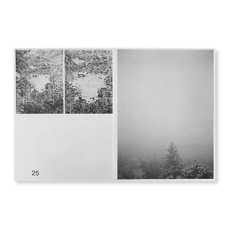 Bas Ketelaars / Edges of Landscape
