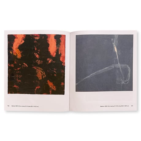 Peter Shear / ACCIDENT REPORT