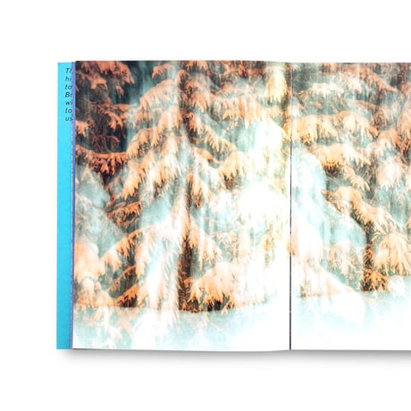 Sari Soininen / Transcendent country of the mind