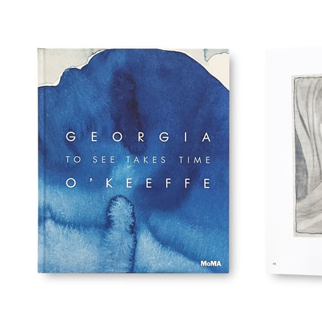 Georgia O'Keeffe / To See Takes Time