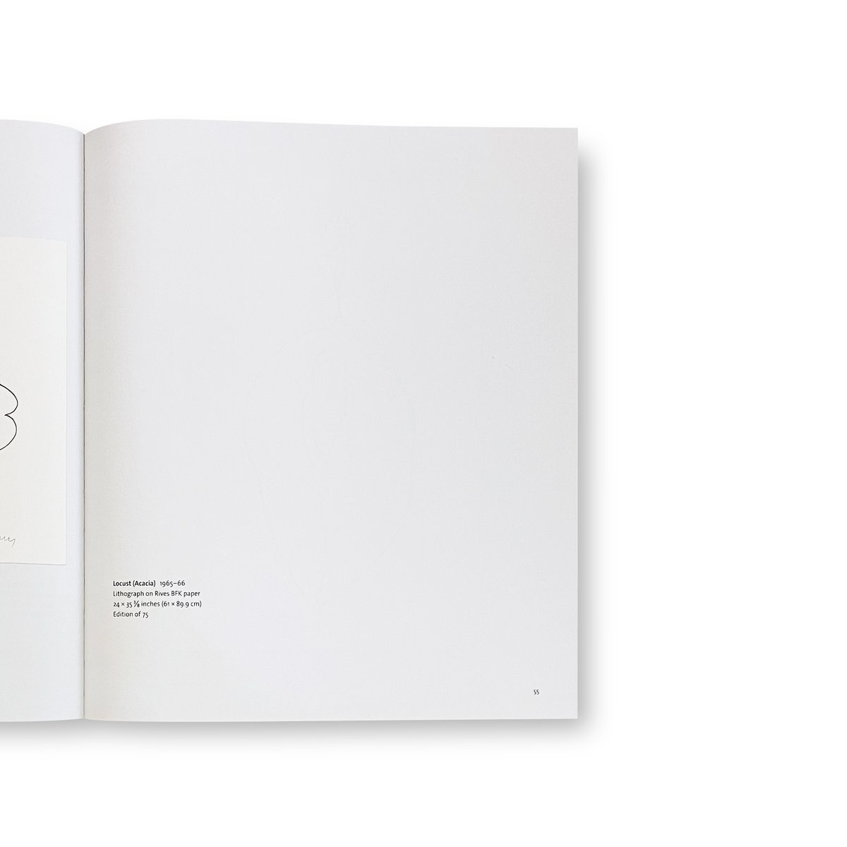 Ellsworth Kelly / Plant Lithographs | Gallery 5