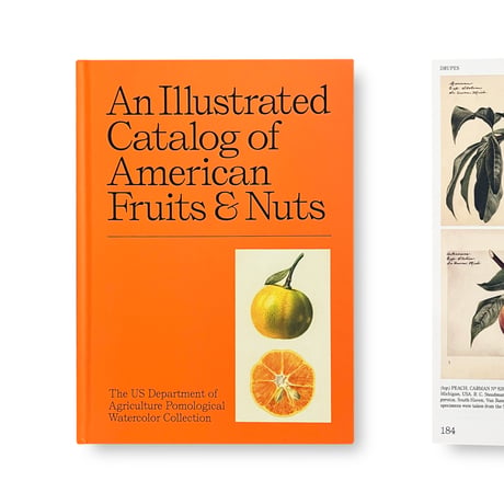 An Illustrated Catalog of American Fruits & Nuts