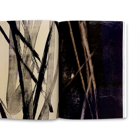 篠田桃紅展 Toko Shinoda: a retrospective