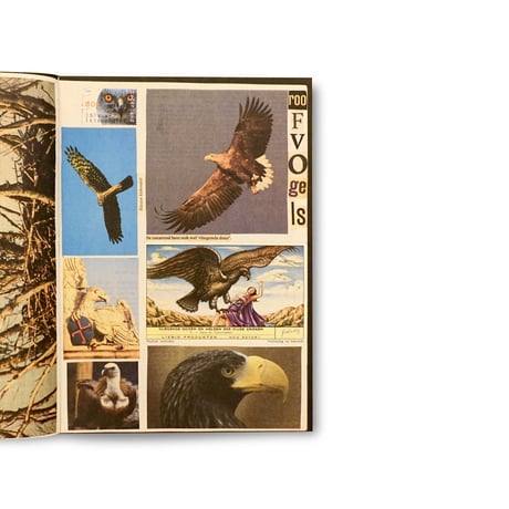 Lous Martens / Animal Books For (Reprint/ New Cover)
