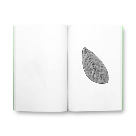 Jamie Yeo / Plant Scans