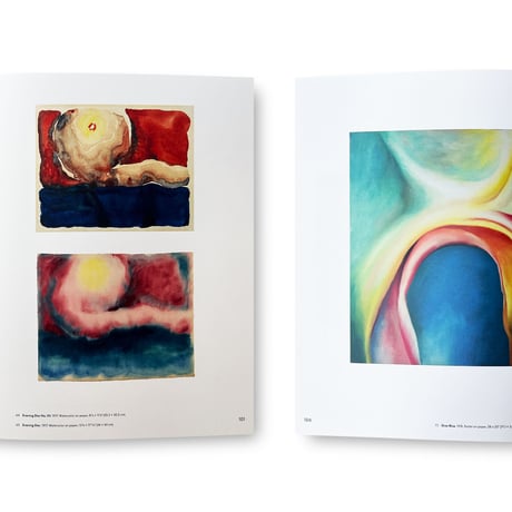 Georgia O'Keeffe / To See Takes Time