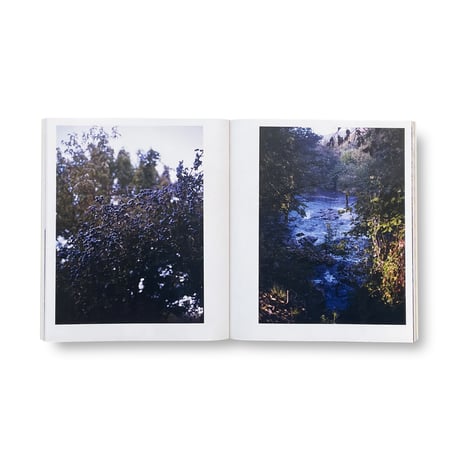 Ryuhei Nakagawa / CAMINO