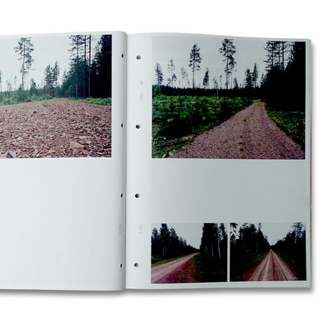 Sibylle Eimermacher / A Guide Through Hue