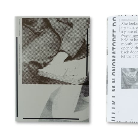 Femke de Vries / Dictionary Dressings