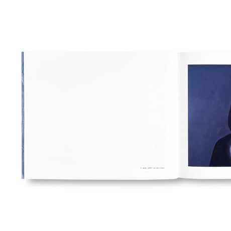 Alex Katz / Subject to Reversal