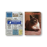 Chantal Rens / Various Animals