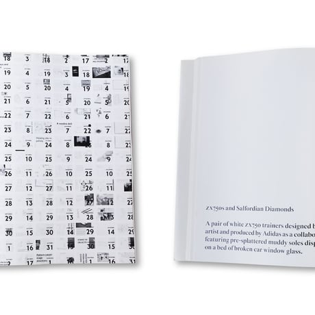 Ryan Gander / Fieldwork, The Complete Reader