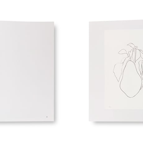 Ellsworth Kelly / Plant Lithographs