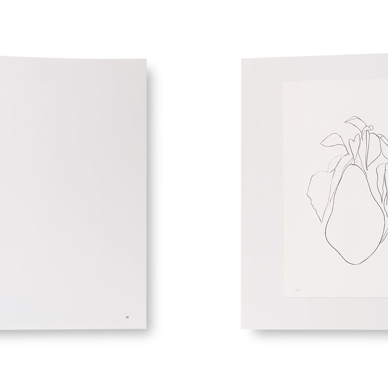 Ellsworth Kelly / Plant Lithographs | Gallery 5