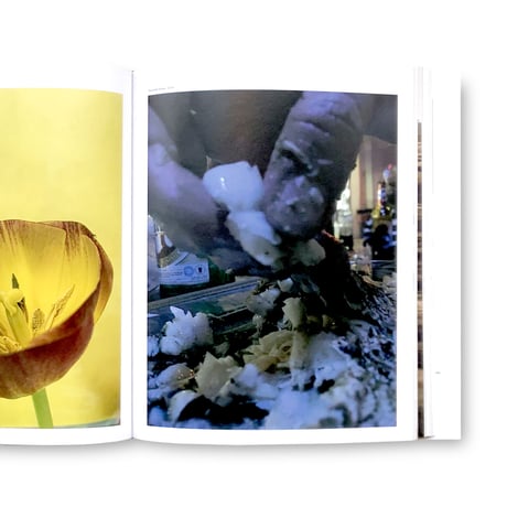 Wolfgang Tillmans / To Look Without Fear