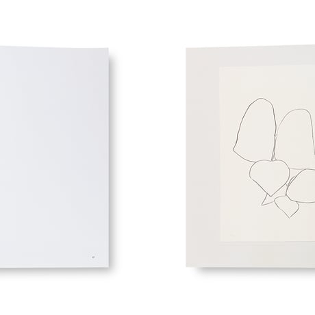 Ellsworth Kelly / Plant Lithographs