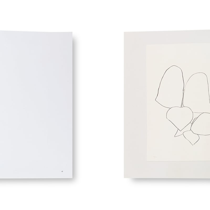 Ellsworth Kelly / Plant Lithographs | Gallery 5