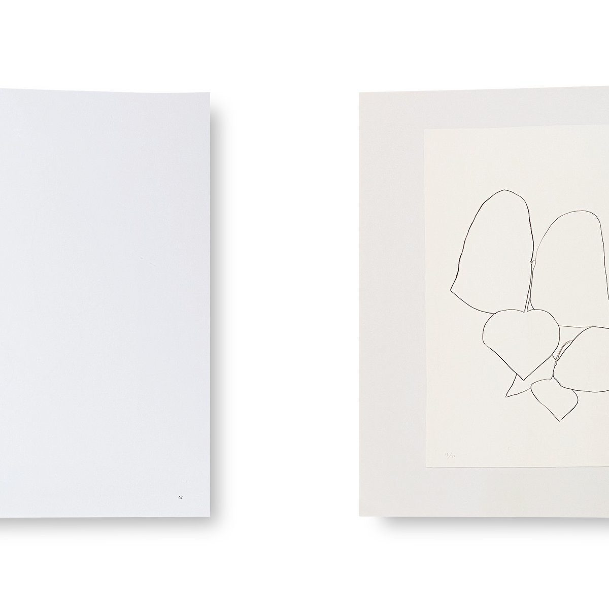 Ellsworth Kelly / Plant Lithographs | Gallery 5