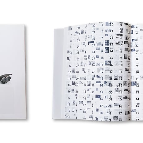 Ryan Gander / Fieldwork, The Complete Reader