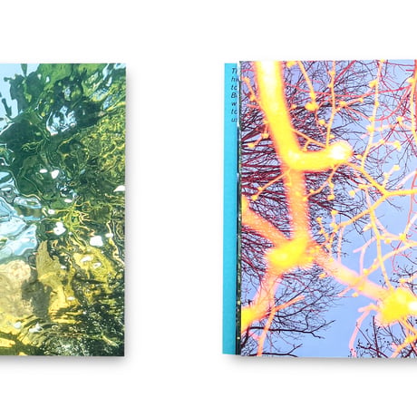 Sari Soininen / Transcendent country of the mind
