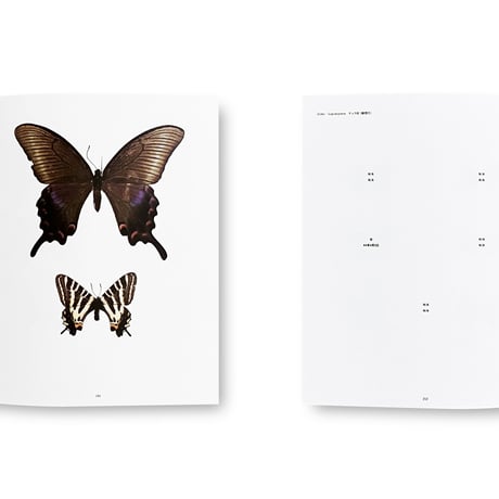 Hiromasa Iwasaki / NO-RECORD-FOUND CERTIFICATE – 759 Insects –