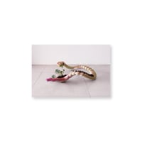 Kei Imazu / 【A-4】Colon Postcard