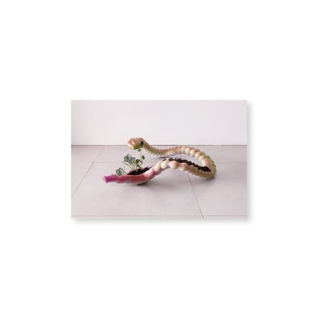 Kei Imazu / 【A-4】Colon Postcard