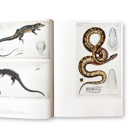 Jens Hoffmann / Animality