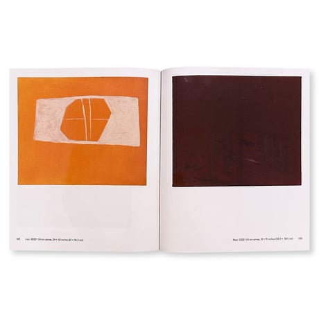 Peter Shear / ACCIDENT REPORT