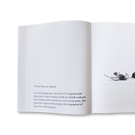 Ryan Gander / Fieldwork, The Complete Reader