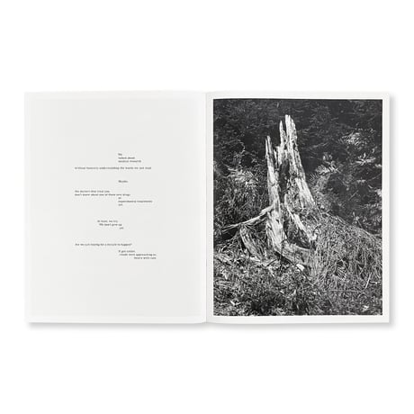 Sabine Hess / You Felt the Roots Grow