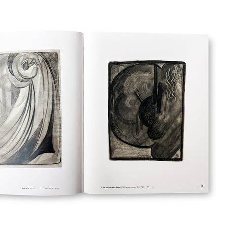 Georgia O'Keeffe / To See Takes Time
