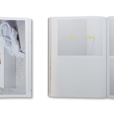 Fleur van Dodewaard / The Fold
