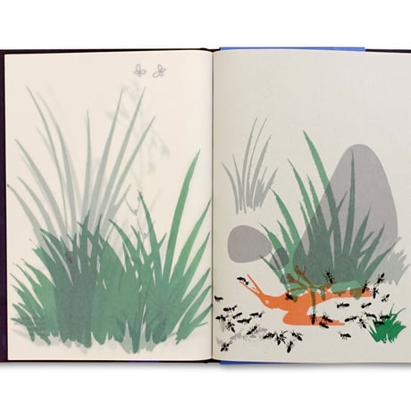 Bruno Munari / In the Darkness of the Night