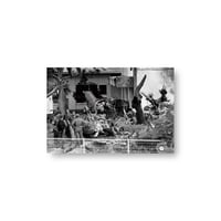 Ishikawa Mao / 【14】Fences, Okinawa Postcard