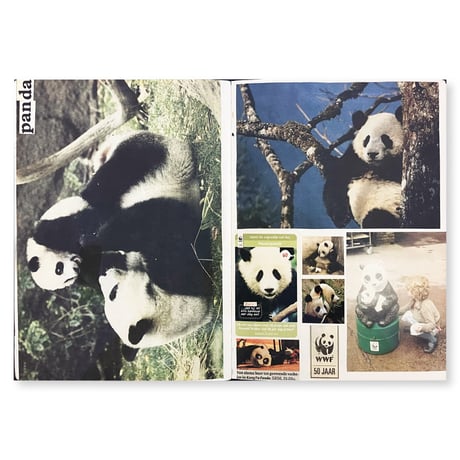Lous Martens / Animal Books for Jaap, Zeno, Anna, Julian & Luca (new edition)
