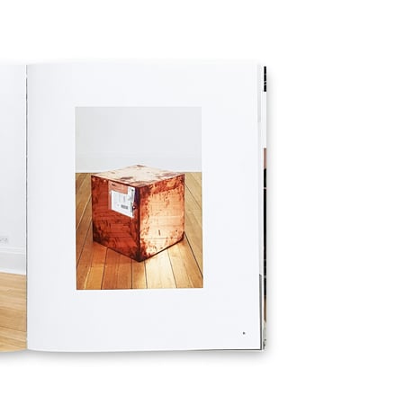Walead Beshty / Natural Histories